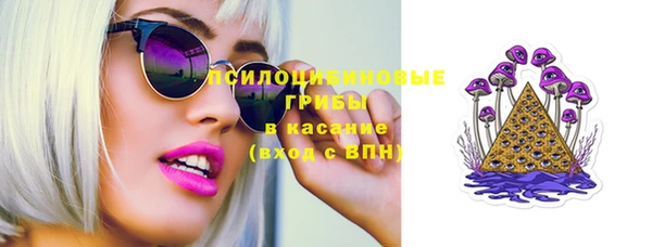 гидра Красноперекопск