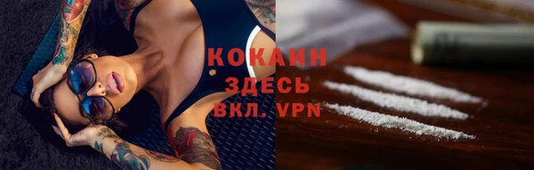 гидра Красноперекопск