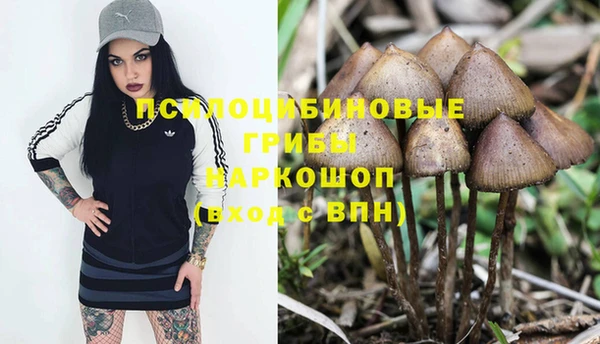 гидра Краснотурьинск