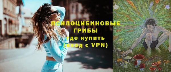 гидра Красноперекопск