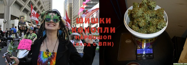 гидра Красноперекопск