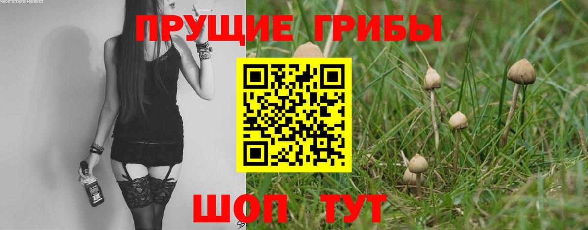 Черемхово  Галлюциногенные грибы Psilocybine cubensis  Вход с VPN 